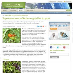 Top 6 most cost-effective vegetables to grow