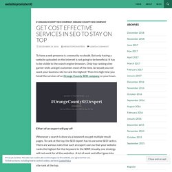 SEO Company Orange County - websitepromoters.com