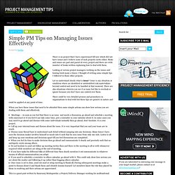 Simple PM Tips on Managing Issues Effectively