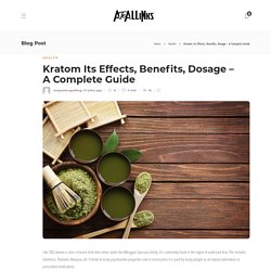 OPMS Gold Kratom Capsules by The Vapery