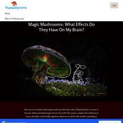 What Effects Do They Have On My Brain - NupepShrooms