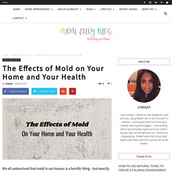The Effects of Mold on Your Home and Your Health