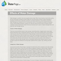 Effects of Water Damage