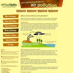 Effects of Air Pollution on humans, plants and animals