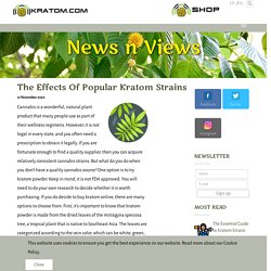 The Effects Of Popular Kratom Strains