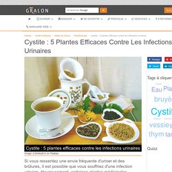 Cystite : 5 plantes efficaces contre les infections urinaires