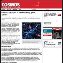 Brain cost-efficiency linked to family genes