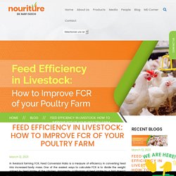 Feed Efficiency in Livestock: How to Improve FCR of your Poultry Farm