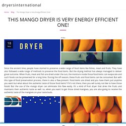 This Mango Dryer is Very Energy Efficient One! - dryersinternational