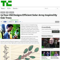 13-Year-Old Designs Efficient Solar Array Inspired By Oak Trees