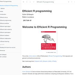 Efficient R programming