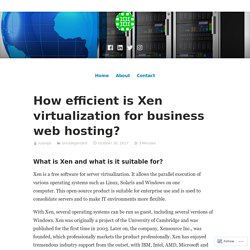 How efficient is Xen virtualization for business web hosting?
