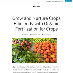 Flourish and Nourish Crops Efficiently Organic Fertilization for Crops