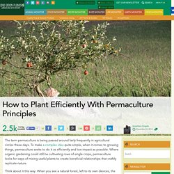 How to Plant Efficiently With Permaculture Principles
