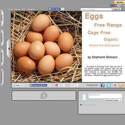 Eggs - Free Range, Cage Free, Organic, What's the difference?