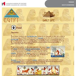 Egyptian civilization - Daily life - Food