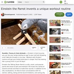Einstein the Parrot invents a unique workout routine