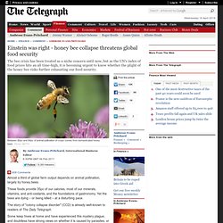 Einstein was right - honey bee collapse threatens global food security