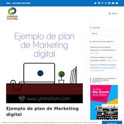 Ejemplo de Plan de Marketing Digital para Empresas