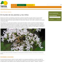 El mundo de las plantas y los niños