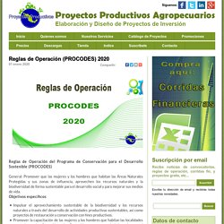 ProyAgro: Diseño y elaboración de Proyectos agropecuarios, Corridas Financieras, Planes de negocio