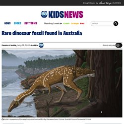 Elaphrosaur vertebra fossil found at Eric the Red West dig site in Victoria, Australia