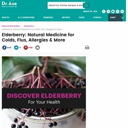 Elderberry Benefits & Uses, Including Cold & Flu Treatment
