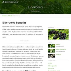 Elderberry Surup (Old Fashioned Traditions)