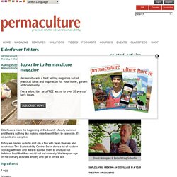 Permaculture magazine