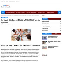 Get You will Make Electrical TOMATO BATTERY SCIENCE with Live Experiment