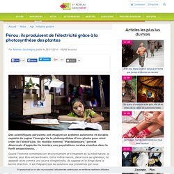 Pérou : ils produisent de l’électricité grâce à la photosynthèse des plantes