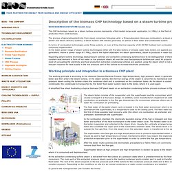 Electricity from biomass – BIOS BIOENERGIESYTEME – Steam Turbine