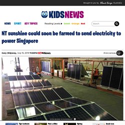 Sun Cable plans NT solar farm to export electricity to Singapore