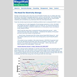 Electricity Storage