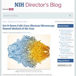 Got It Down Cold: Cryo-Electron Microscopy Named Method of the Year