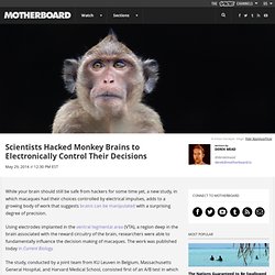 Scientists Hacked Monkey Brains to Electronically Control Their Decisions