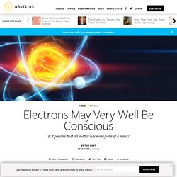 Electrons May Very Well Be Conscious - Issue 94: Evolving