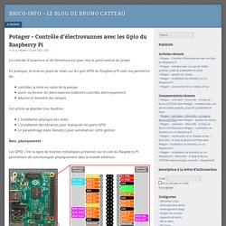 Potager – Contrôle d’électrovannes avec les Gpio du Raspberry Pi – Brico-Info – le blog de Bruno CATTEAU