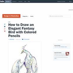 How to Draw an Elegant Fantasy Bird with Colored Pencils