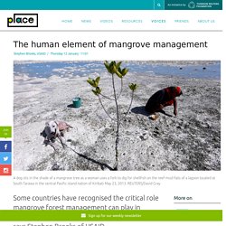 The human element of mangrove management