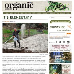 Organic Gardener Magazine Australia