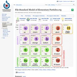Standard Model of Particle Physics - Elementary Particles | Pearltrees