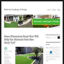 Some Elementary Steps That Will Help You Maintain Your Synthetic Turf – Westcoast Landscape & Design