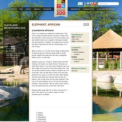 Cleveland Metroparks Zoo - AEC Webcam