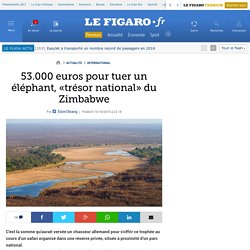 53.000 euros pour tuer un éléphant, «trésor national» du Zimbabwe