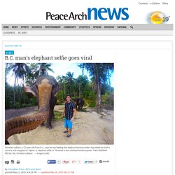 B.C. man's elephant selfie goes viral - Peace Arch News