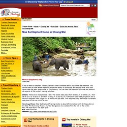 Mae Sa Elephant Camp in Chiang Mai - Thailand Travel Information