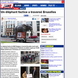 Un éléphant factice a traversé Bruxelles