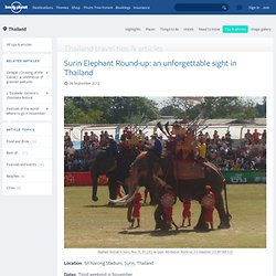 Surin Elephant Round-up: an unforgettable sight in Thailand