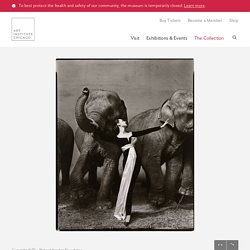 Dovima with Elephants, Evening Dress by Dior, Cirque d'Hiver, Paris
